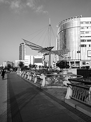 洛宁公司注册